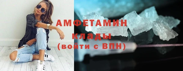 твердый Аркадак